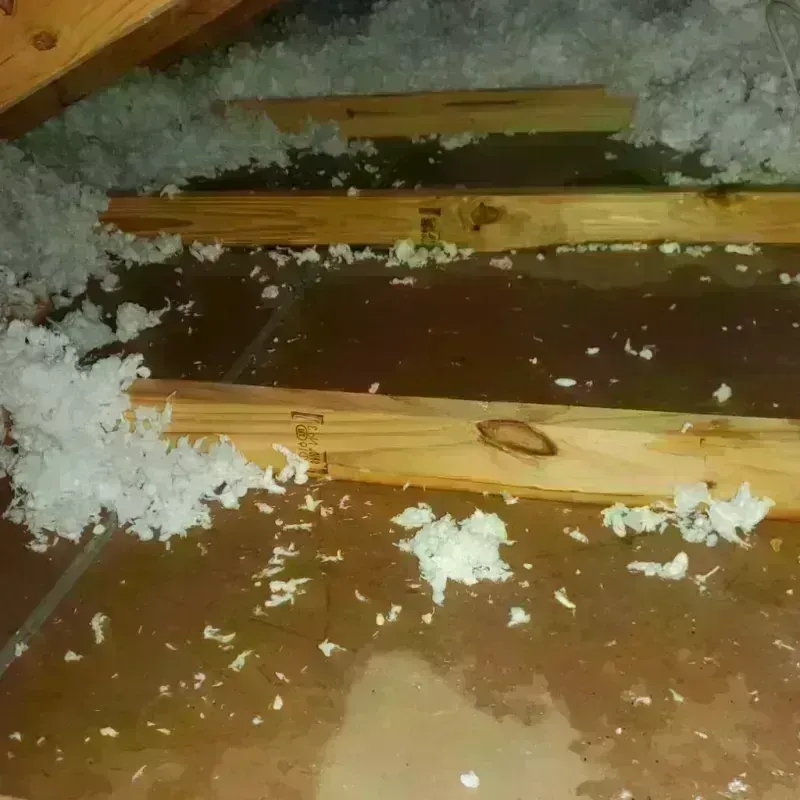 Attic Water Damage in Boiling Springs, NC